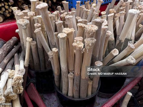 where can i buy miswak.